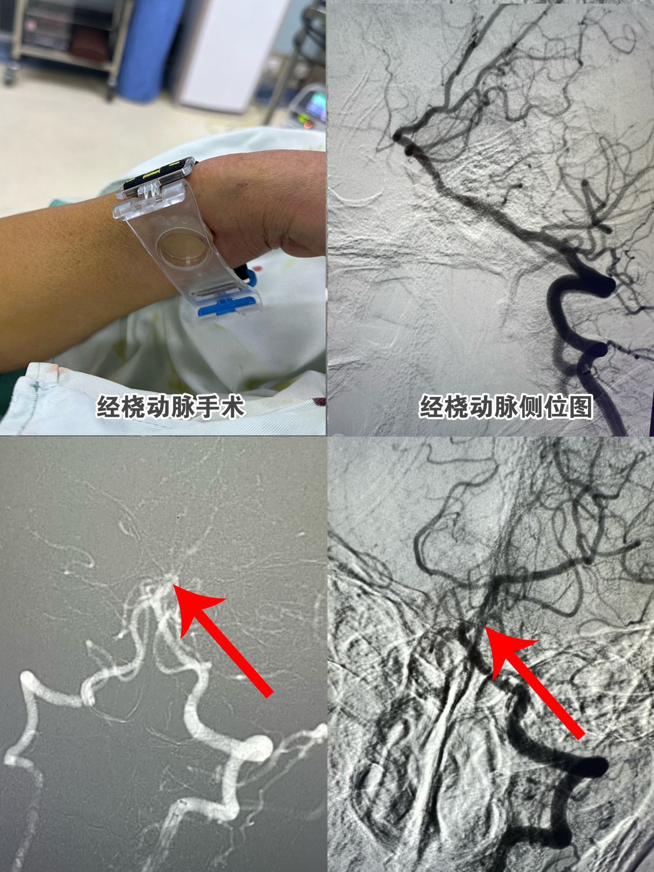微信图片_20231120173040.jpg